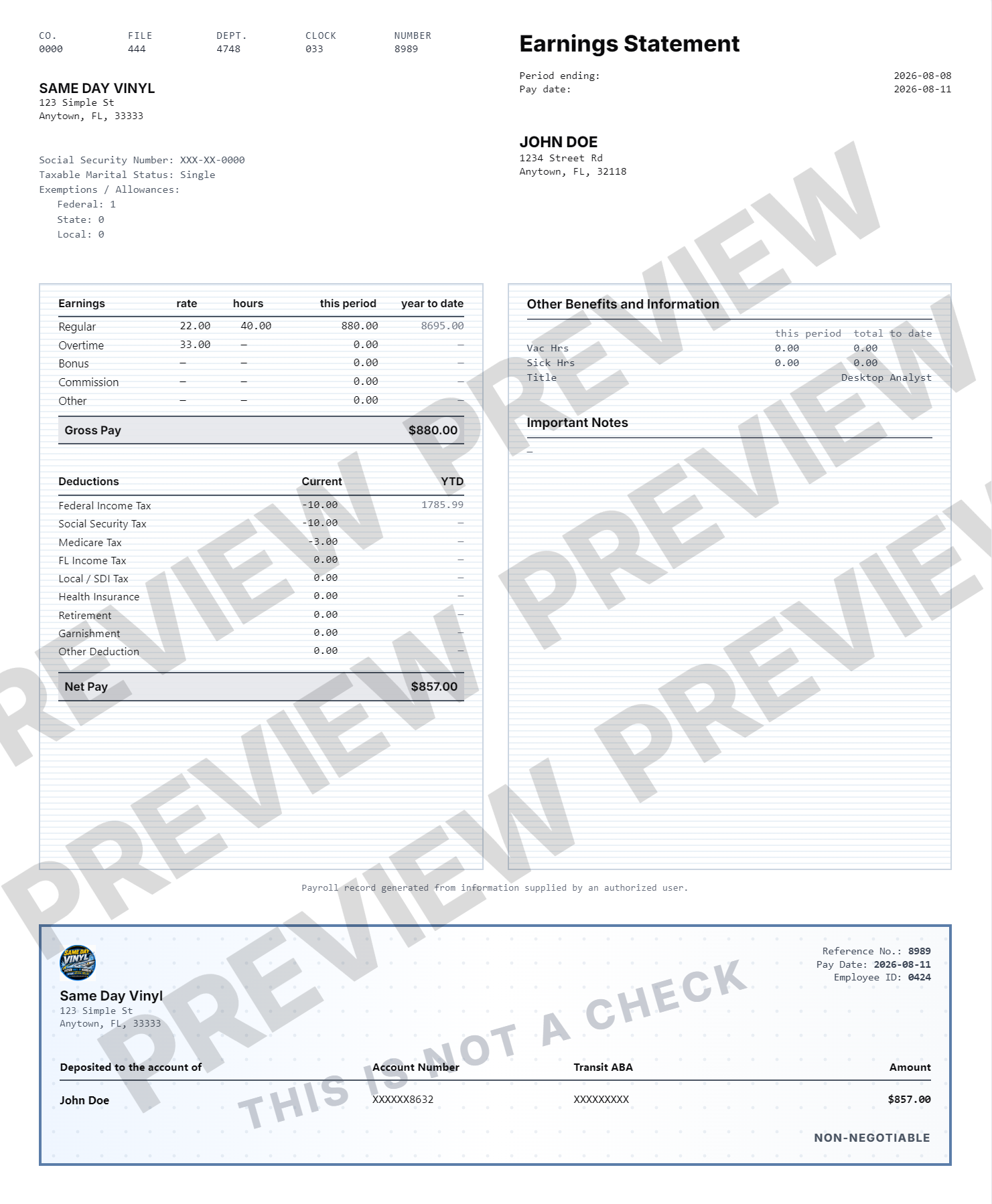 Detailed professional pay record template preview